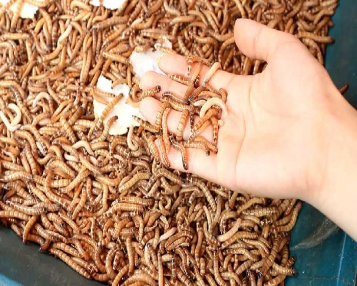 Tiết lộ một số dấu hiệu thiếu hụt dinh dưỡng