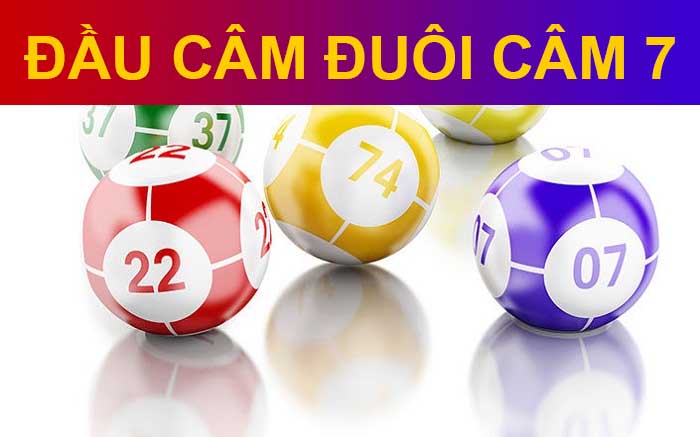 NUÔI ĐẦU CÂM ĐUÔI CÂM 7