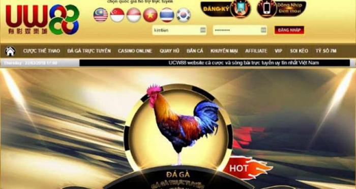 Khám phá những thông tin thú vị về đá gà UW88
