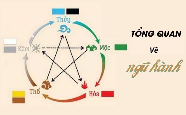 tuyên bố ngu ngốc