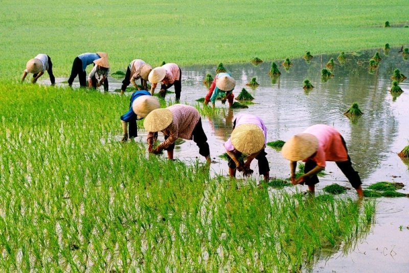 Chặng đường đầu tiên của tình yêu và tình cảm của con người Việt Nam