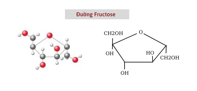 Công thức hóa học của đường là gì? tài sản, cấu trúc 4 Tính chất hóa học của Fructose