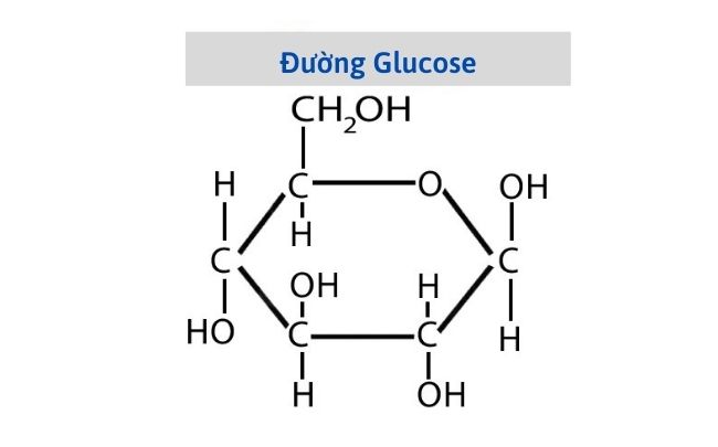 Công thức hóa học của đường là gì? thuộc tính, cấu trúc 3 Đặc điểm hóa học của Glucose