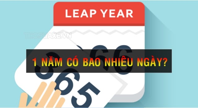 1 người có bao nhiêu đôi giày?