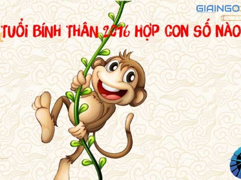 2016 là con số nào? 