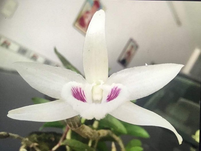 các loại kiến ​​thức khác nhau