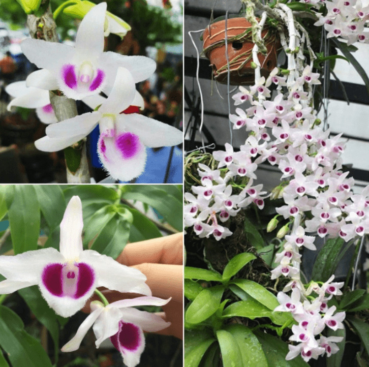 Làm thế nào để gặp gỡ và kết nối với bạn bè?