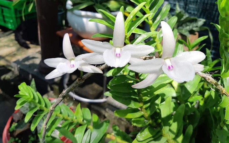 Làm cách nào để kết bạn?