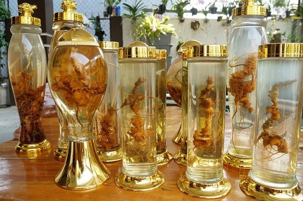 Rượu nhân Sâm Ngọc Linh