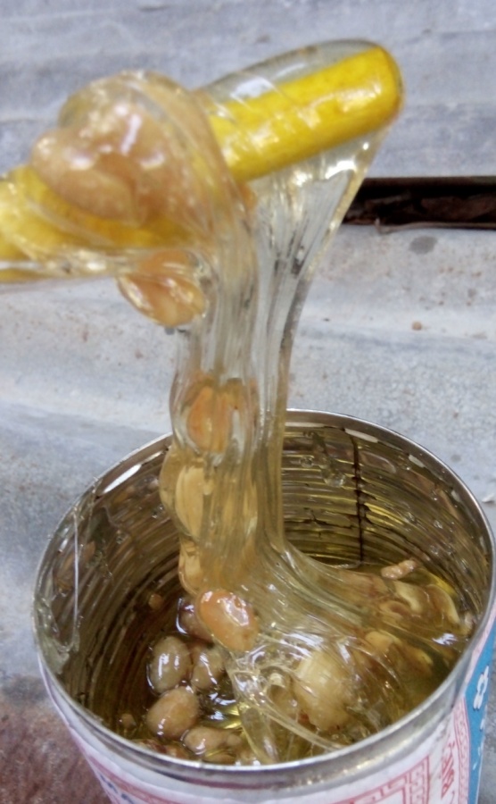 Văn phòng của ngai vàng