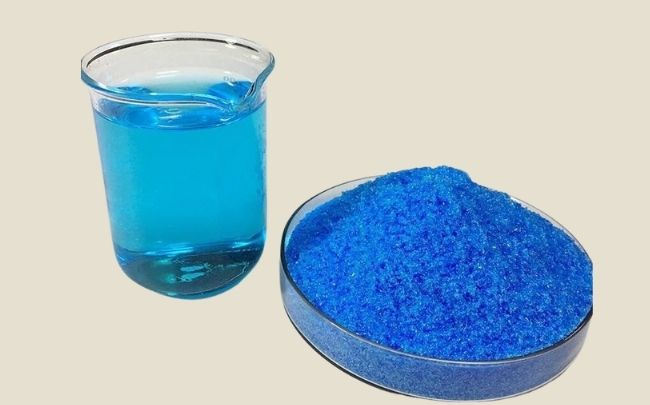 Xuso4 là giải pháp SpeedBlue