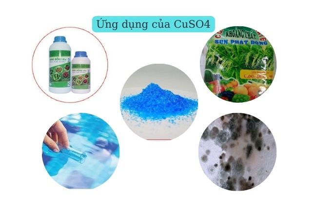 So sánh dung lượng CuSO4 trong lò nung