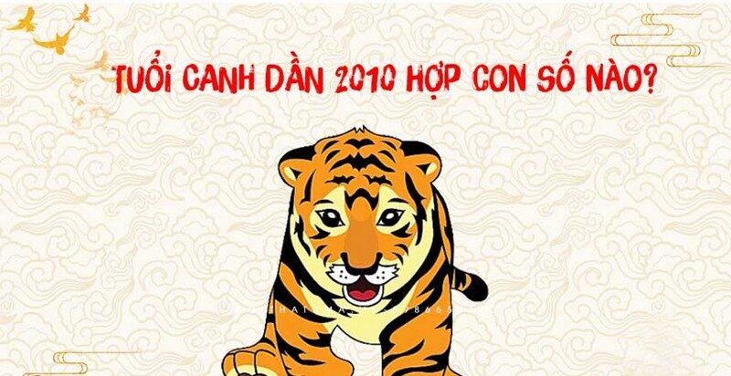 Đàn ông sinh ra trên thế giới bao nhiêu tuổi?