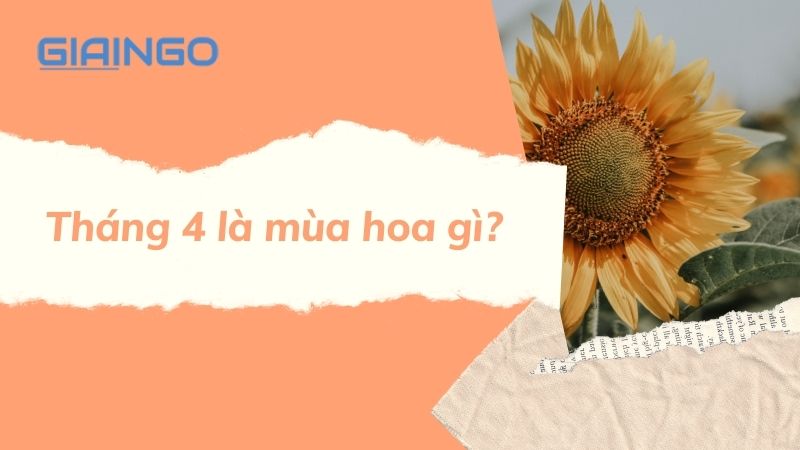 Tháng 4 mùa hoa nở là khi nào?