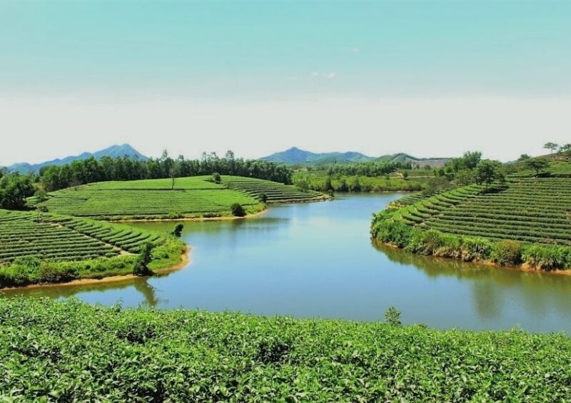 Nhưng địa chỉ nghe tai nghe