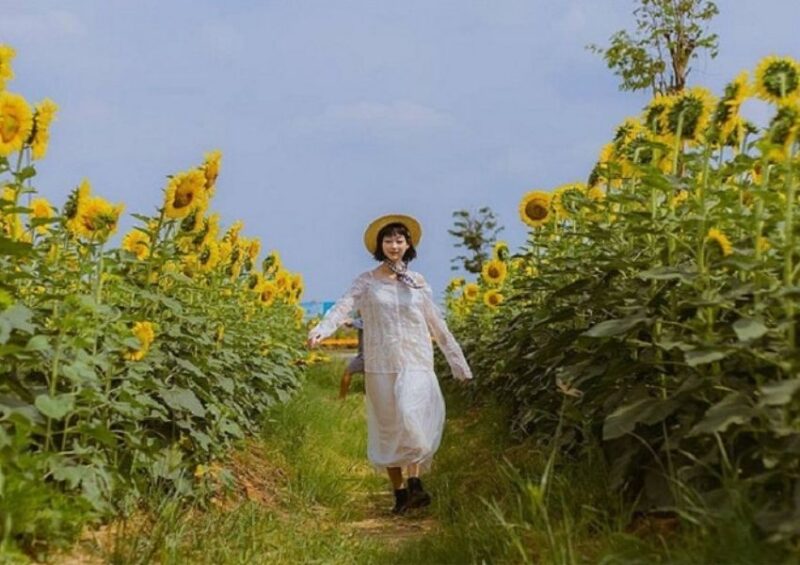 Nhưng địa chỉ nghe tai nghe