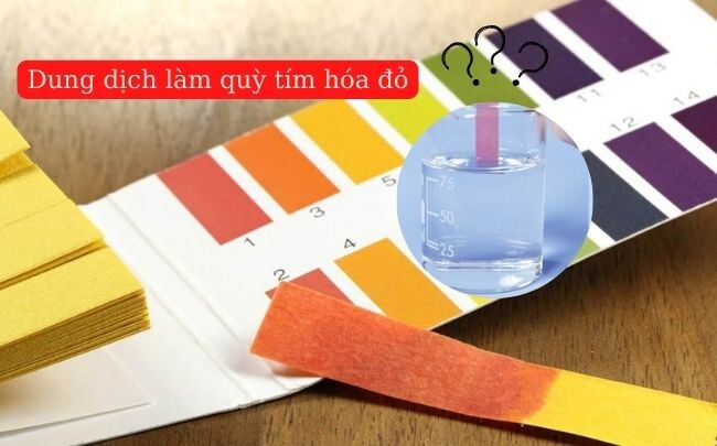Giải pháp việt quất lạ mắt