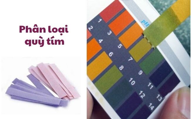 Người hâm mộ trái tim
