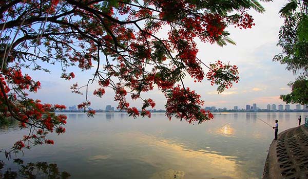 Quanh Hồ Tây bao nhiêu km?Về hồ tây Hóa đơn tiền điện