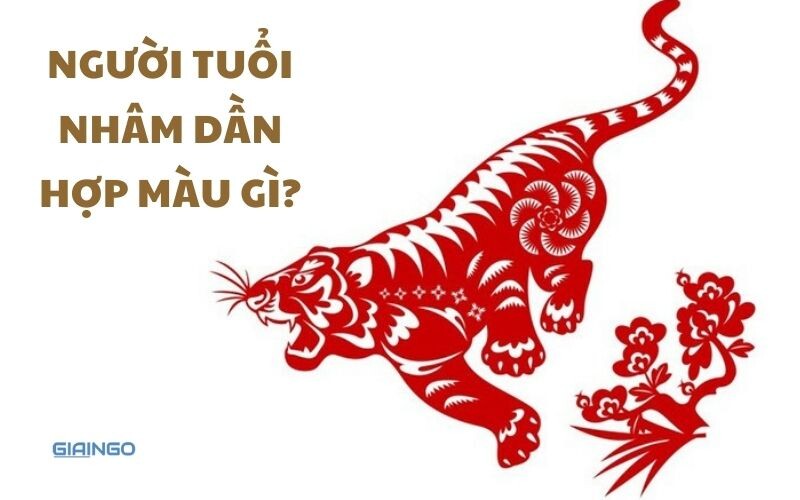 Bạn định lên xe với tốc độ bao nhiêu?