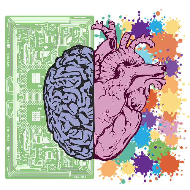 Sự khác biệt giữa IQ và EQ là gì?