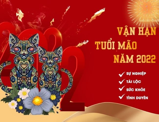 Tổng quan về những năm sau này của tôi