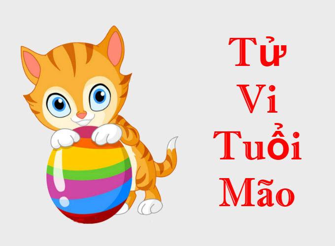Tổng quan về những năm sau này của tôi