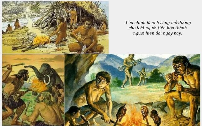 giúp sửa chữa cuộc sống của tôi