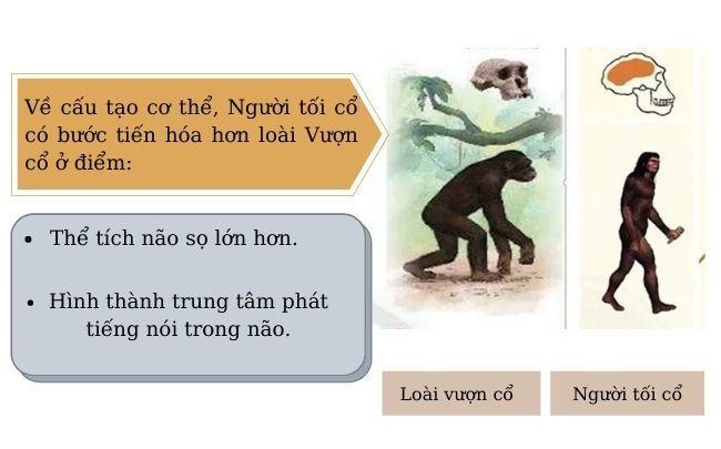 Tiền của người lớn so với tiền của người khác