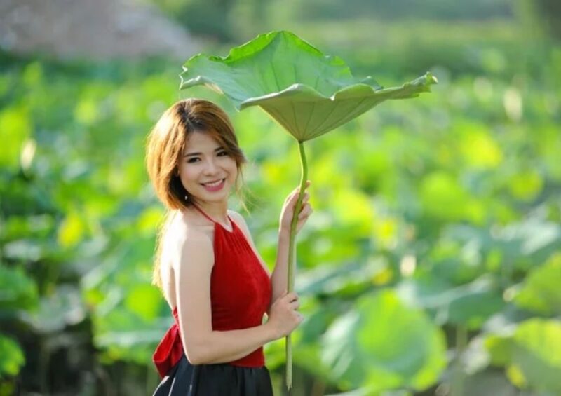 tôi là hoa sen