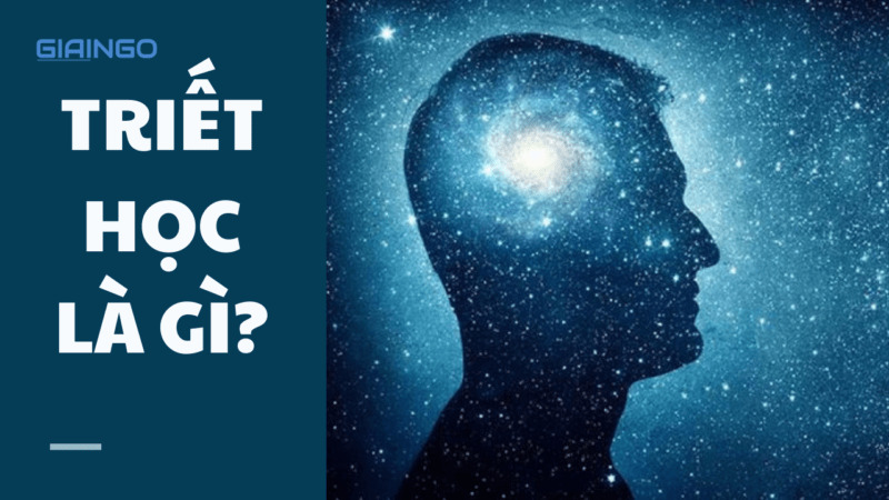 Đối tượng của triết học Mác - Lênin là gì?Chức năng cụ thể trường học là gì