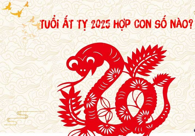 Tương lai cho nam giới vào năm 2025 là gì?